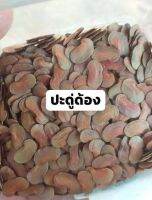 100 เมล็ด เมล็ดพันธุ์ ประดู่ด้อง กำพี้ ไม้สกุลพยูง seed