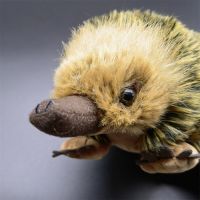 Echidna ตุ๊กตาของเล่นตุ๊กตาหนามรูปสัตว์เหมือนจริง,ตุ๊กตาน่ารักโมล Plushie Spiny Anteater ของขวัญ2023ใหม่