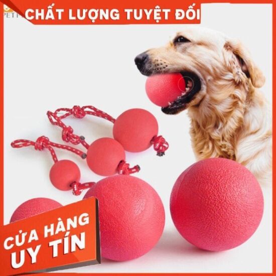 Bóng cao su tập cắn đồ chơi gặm cho chó của quaqua - ảnh sản phẩm 1
