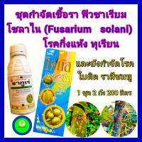 ชุด กำจัดเชื้อรา ฟิวซาเรียม โซลาไน(Fusarium solani)โรคกิ่งแห้งทุเรียน ไดโนโฟกัส คอปเปอร์น้ำ 1ลิตร+ลากูเร่ 500cc ราสีชมพู ใบติด กิ่งแห้ง ใบไหม้