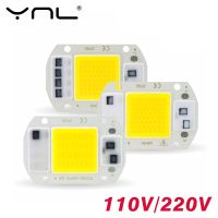 10PCS/lot LED Chip 10W 20W 30W 50W Smart IC 110V 220V COB Lamp Beads No Need Driver LED Bulb for Flood Light Spotlight Diy Light