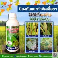 โรคพืช คลอโรทาโรนิล 50% SC 1 ลิตร สารป้องกันกำจัดเชื้อรา ข้าวใบไหม้ ใบด่างราน้ำคาง ใบจุด ราแป้ง คูลเกษตร KF1