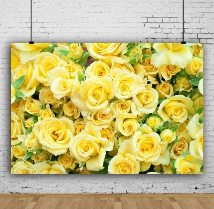 5x3ft Graceful Yellow Rose Flower Wall Vinyl Photography Backdrop