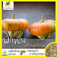 เมล็ดพันธุ์ ฟักทอง เติร์กเทอร์บาน 10 เมล็ด Turks Turban Squash Seed เมล็ดพันธุ์แท้ นำเข้าจากต่างประเทศ ปลูกผัก สวนครัว