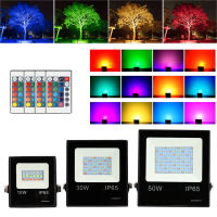 220V RGB LED Floodlight with Remote 10W 30W 50W IP66 Waterproof Outdoor Light LED Spotlight Wall Lamp Reflector Projector