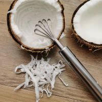 Stainless Steel Coconut Shaving Knife Home Coconut Grater Scraping Coconut Meat Scraper Fish Fruit Planing Gadgets Kitchen