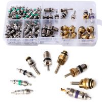 134Pcs R134A A/C Car Auto Air Conditioning Valve Core Car Tire Assortment Kit