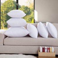 Manufacturers wholesale brushed cloth pillow core PP cotton cushion 40/45/50/55/60 liner Pillow