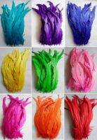 50pcs 25-45CM 10-18inch Rooster Tail Feather Plumes Dyed Cock Clothing Accessories Jewelry Performance