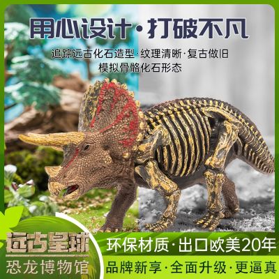 Ancient planet triceratops simulation animal toy dinosaur tyrannosaurus rex skeleton model boy Jurassic children