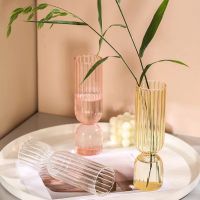 ins creative glass vase striped transparent desktop decoration ornaments hydroponic flower arrangement simple wine glass