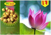 เม็ดบัวอบกรอบ ตรา มาย ถุง500g.  MAI  Roasted Lotus Seeds Snack