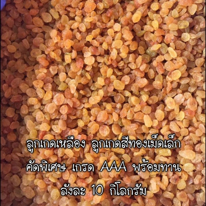 ลูกเกดเหลือง-ลูกเกดสีทองเม็ดเล็ก-ลังละ-10-กิโลกรัม-golden-raisin-10kg