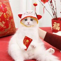 ❦▫ Cute Novelty Headwear Pet Costume for Cats Kitten Puppy and Small Dogs Birthday Theme Party Photo Prop