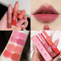 ชุด Lipstik Nude Matte ขนาดเล็กเคลือบ4สีกำมะหยี่สีทาปากเกรปฟรุตชุดลิปกลอสถ้วยไม่ติด