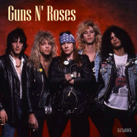 USB [FLAC+MP3] / CD MP3 คุณภาพสูง GUNS N ROSES COLLECTION