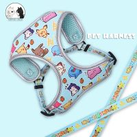 personalized Reflective Dog Cat Harness Vest Pet Adjustable Walking Leash Set for Puppy Small Medium Dogs Chihuahua Pet Supplies Leashes