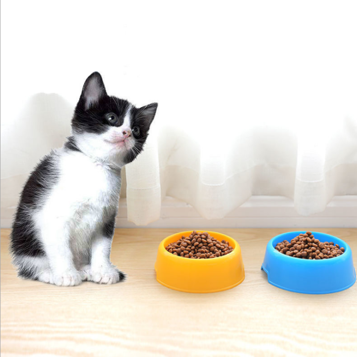 Tempat Makan Minum Pet Bowl Single Food Drink Anijng Kucing Hewan
