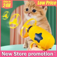 Cat Interactive Teaser Fetch Toy for Small Kittens Dogs Chasing Pet Funny Teaser Supplies Cat Games Pet Accessories Toys