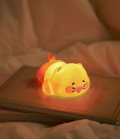 ( พร้อมส่ง ) Kakaofriends Choonsik mini Mood Lamp โคมไฟจิ๋วชุนซิก