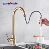 Pull Out Kitchen Faucets 360 Rotation Kitchen Mixer Tap Single Lever Mixer Tap Kitchen Sink Cold Hot Water Tap