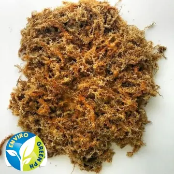 Top Grade A Quality Sphagnum Moss - Best for Orchids and Pet Bedding