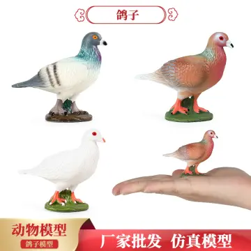 Hiệu quả từ mô hình nuôi chim bồ câu Pháp  Báo Nam Định điện tử