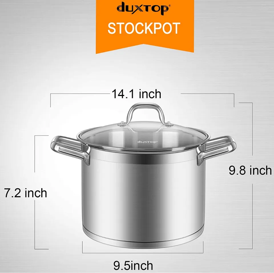 Duxtop Professional Stainless Steel Stock Pot with Glass Lid, Induction  Cooking Pot, Impact-bonded Base Technology, 8.6 Quarts 