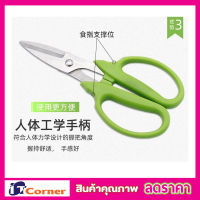 กรรไกรตัดกิ่ง กรรไกรตัดหญ้า Stainless steel scissors กรรไกรตัดตกแต่งกิ่งไม้  กรรไกรตัดกิ่งไม้ กรรไกรแต่งกิ่ง กรรไกรแต่งพุ่ม กรรไกรแต่งสวน