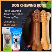 Dog Molar Stick Large Bone ขนมสุนัขทนกราม