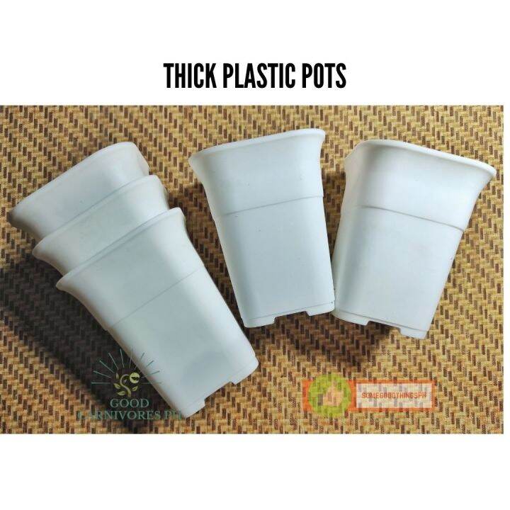 Thick White Square Tall Plastic Pots White for plants, venus flytraps