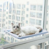 Pet Hanging Bed Cat Beds Sucker Window Mounted Perch Cat Hammock Wood Shelf Seat Pet Climbing Supports Up To 20kg Free Shipping Beds