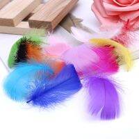 100pcs Feathers for Crafts 4-8cm Plumes Wedding Handicraft Accessories Decoration Catcher