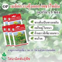 เมล็ดพันธุ์กวางตุ้งดอก เพชรไพลิน ตรา ใบไม้ ขนาด 10 กรัมต่อซอง จำนวน 5 ซอง จาก ไดนามิคพันธุ์พืช