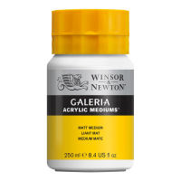 Winsor &amp; Newton Galeria Matt Medium 250ml #3040821