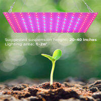 Shuaicai 81led Led Grow Light Full Spectrum Uv Plant Growing Lamp สำหรับพืชไฮโดรโพนิในร่ม