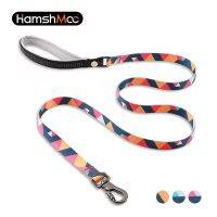 HamshMoc 150Cm Nylon Dog Leash Running Plaid Reflective Soft Padded Thick Safety Leash For Small Big Dog Training Correa Perro