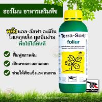 เทอรา-ซอร์บ 1ลิตร, Terra-Sorb (อะมิโนนำเข้าจากสเปน) เปิดตาดอก แตกราก ฟื้นต้น แอล-อัลฟา อะมิโน เปิดตาดอก ออกผลดก ดูดซึมไว ได้ผลจริง ฟื้นต้นเร็ว