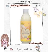 แชมพูทรีทเม้นท์ สำหรับผมแห้งเสียแตกปลายTropical Nutrients Banana Treatment Shampoo Enriched Formula250mlช่วยฟื้นฟูเส้นผมที่แห้งเสียให้กลับมานุ่มสลวย สุขภาพดี