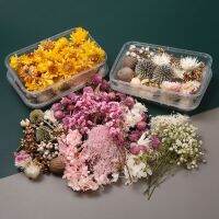 【CW】 1 Colorful Dried Flowers for Epoxy Resin Crafts Bouquet Garland Candle Making Wedding Decoration