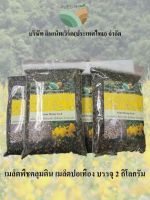 เมล็ดพืชคลุมดิน - เมล็ดปอเทือง 2 กิโลกรัม Covercrop - Sun Hemp seeds 2kg total