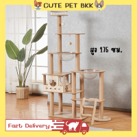 ?Cute Pet BKK? คอนโดแมว คอนโดแมวสูง คอนโดไม้ คอนโดแมวลดราคา 175cm ไม้ทั้งหลัง คอนโดแมวราคาถูก เสาลับเล็บแมว พร้อมโดมและบันได คอนโดแมวถูกๆ