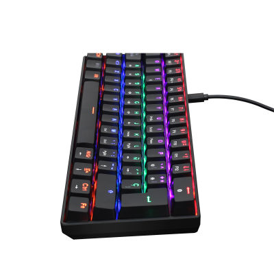 ZIENSTAR Spanish Blue Switch Type C Connector Wired 60 Mechanical Gaming Keyboard with RGB Light 61 Keys for Desktop