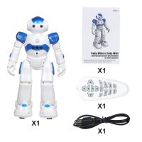 Inligent Robot Multi-function USB Charging Childrens Toy Dancing Remote Control Gesture Sensor Toy Kids Birthday Gifts