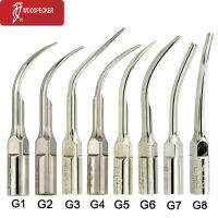 นกหัวขวานทันตกรรมเดิมอัลตราโซนิก Scaler เคล็ดลับการปรับขนาด G2 G3 G4 G5 G1 G8พอดี EMS