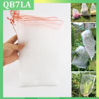 10pcs Fruit Netting Grow Bags Garden Tools Protection Bug Insect for Grape Flower Veg QB7LA Shop