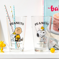 DiaryTools - Snoopy and Charlie Brown Glass แก้วใสสนูปปี้