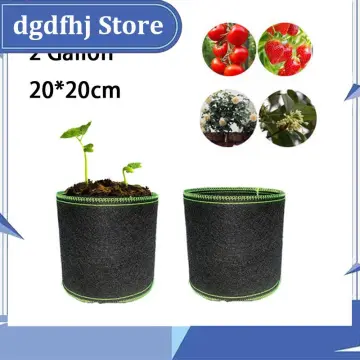 Great Price 7 Gallon Plant Grow Bags, Thichkened Aeration Fabric Pots Air  Pruning Bag with Handles - China Grow Bag and Non Woven Grow Bag price