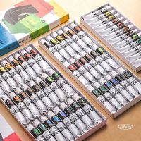 12/18/24/36 Colors Professional Acrylic Paints Set 12ML Hand Painted Wall Drawing craft Painting Pigment Set Art Supplies Cups  Mugs Saucers