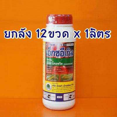 ยกลัง12ขวด อิมิดาโคลพริด 10% เอ็กซอีเกิล 1ลิตร ยาเพลี้ยไฟ หนอนม้วนใบ